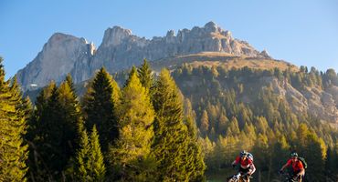 Settimana Mountainbike speciale Erica 7 giorni